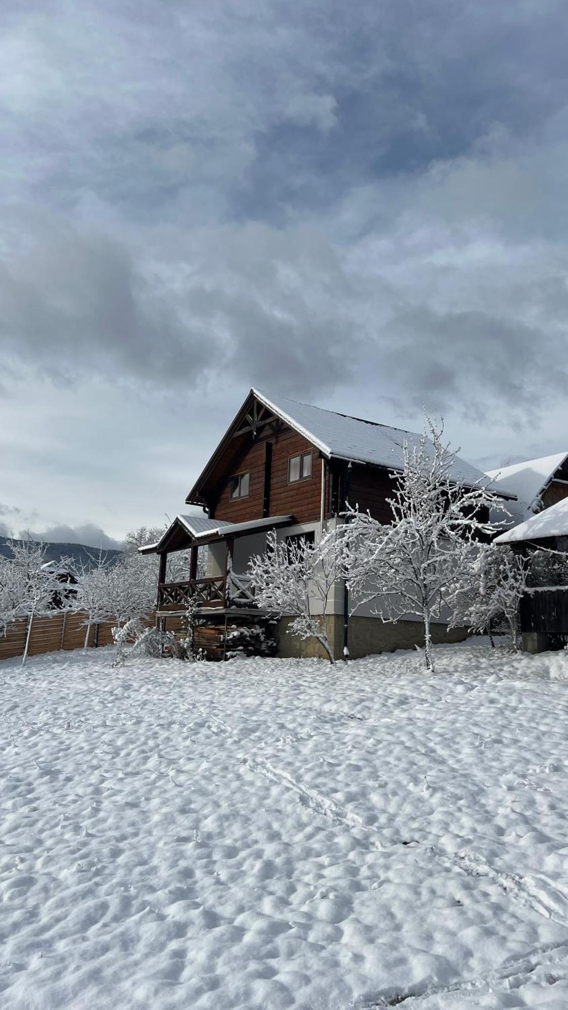 Villa Perfect Yaremche Exterior foto