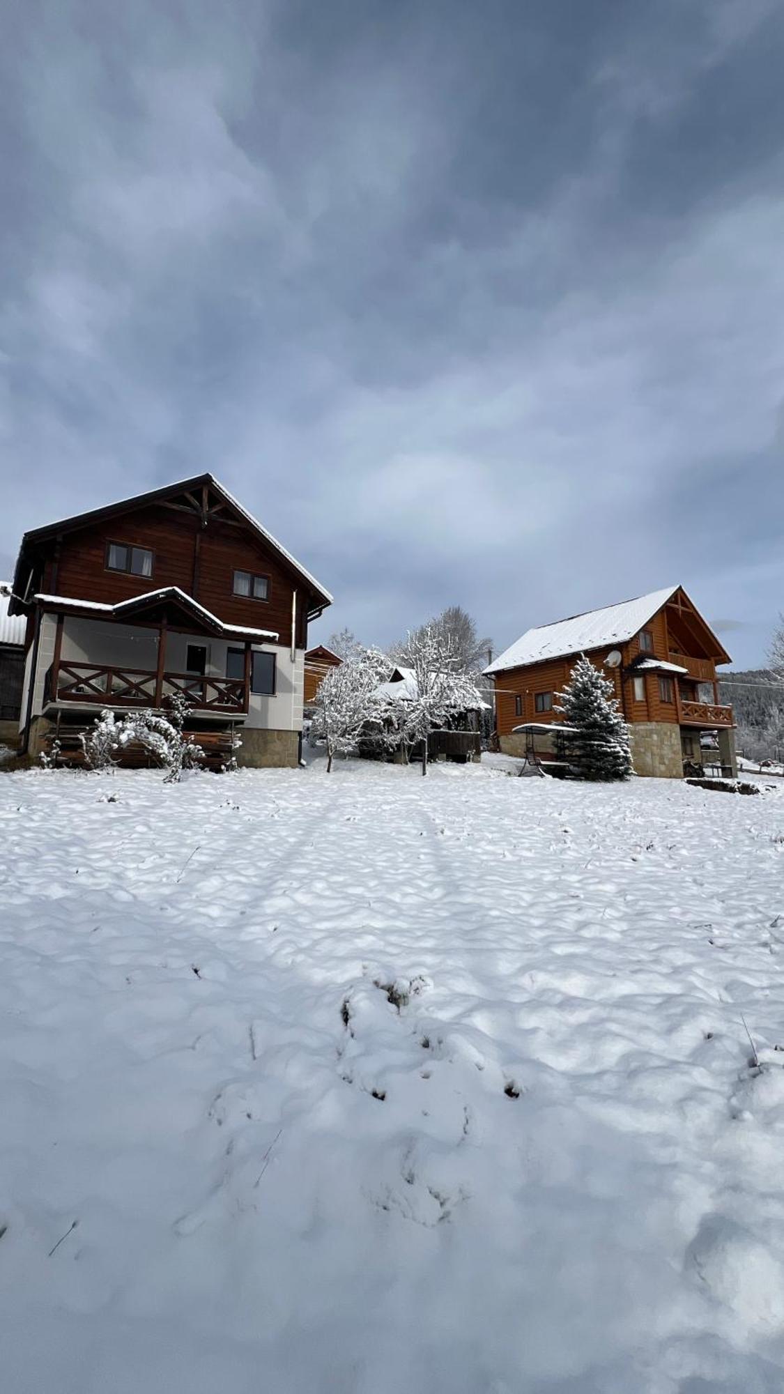 Villa Perfect Yaremche Exterior foto